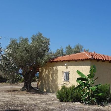 Villa House By The Sea At Skaloma, Loutraki Vouliagmeni-See Exterior foto