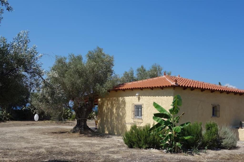 Villa House By The Sea At Skaloma, Loutraki Vouliagmeni-See Exterior foto